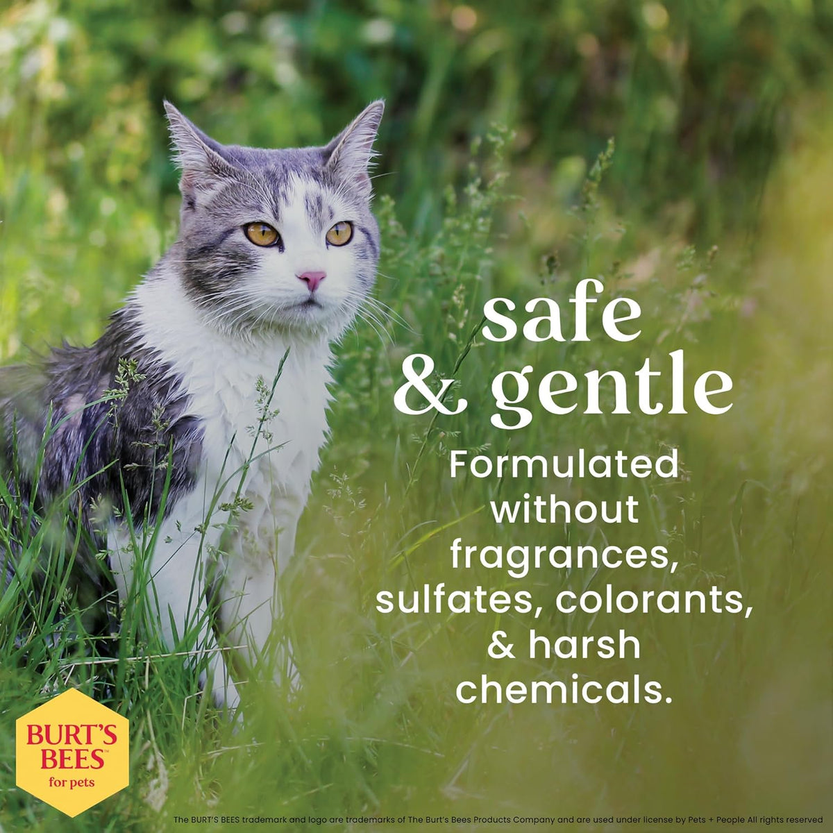 Hypoallergenic Cat Shampoo, Unscented, 10 Fl Oz, 2-Pk